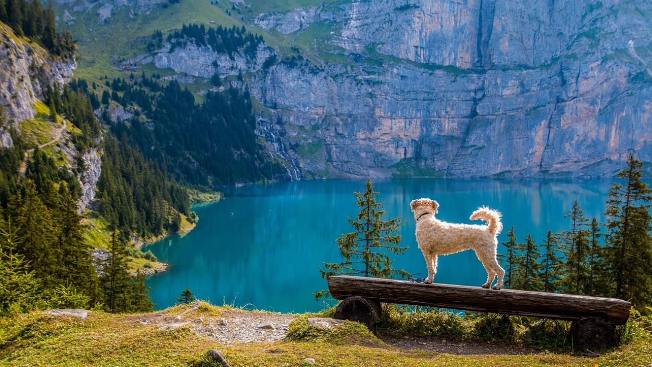 Kandersteg: Idyllischer Ort im Berner Oberland mit einem der schönsten Bergseen