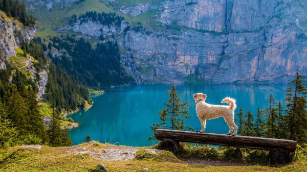 Kandersteg: Idyllischer Ort im Berner Oberland mit einem der schönsten Bergseen