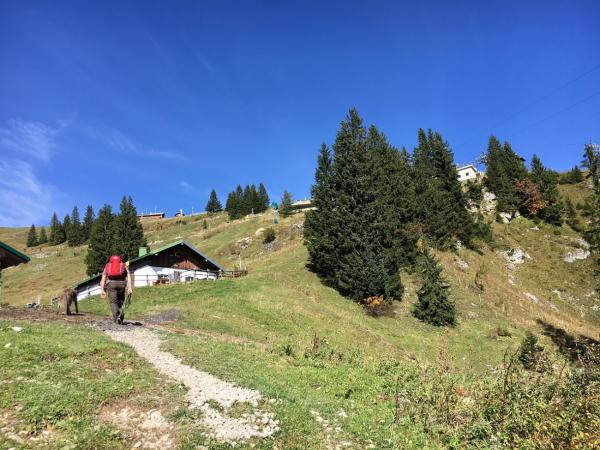 Heilbäder, Wandern, Verweilen: Das Tölzer Land zwischen Isar und Alm
