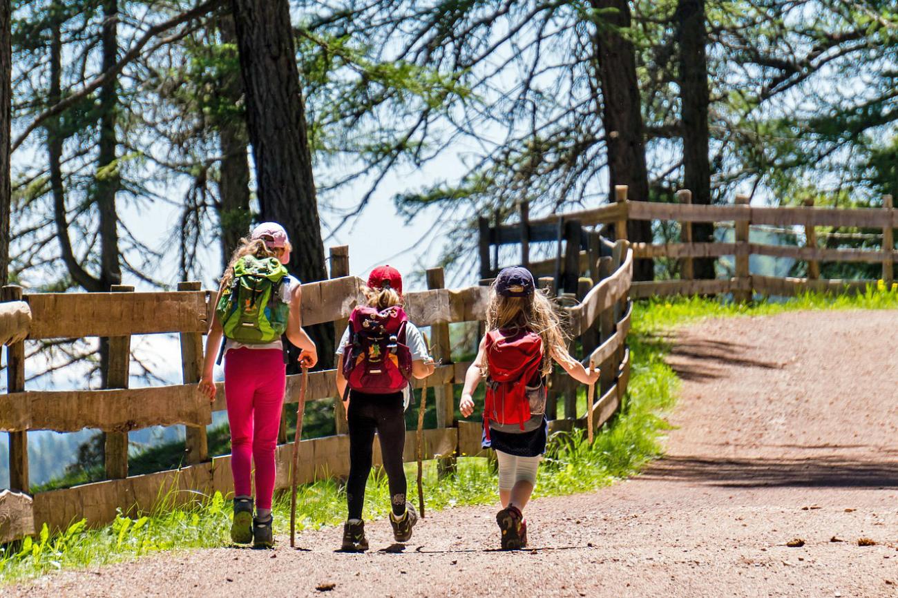 Erlebniswege und Naturpfade: Wandern mit Kindern im Schweizer Mittelland