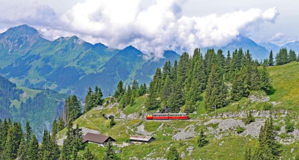 Schynige Platte: Nostalgische Zahnradbahn, Alpenflora und Dreigestirn-Panorama