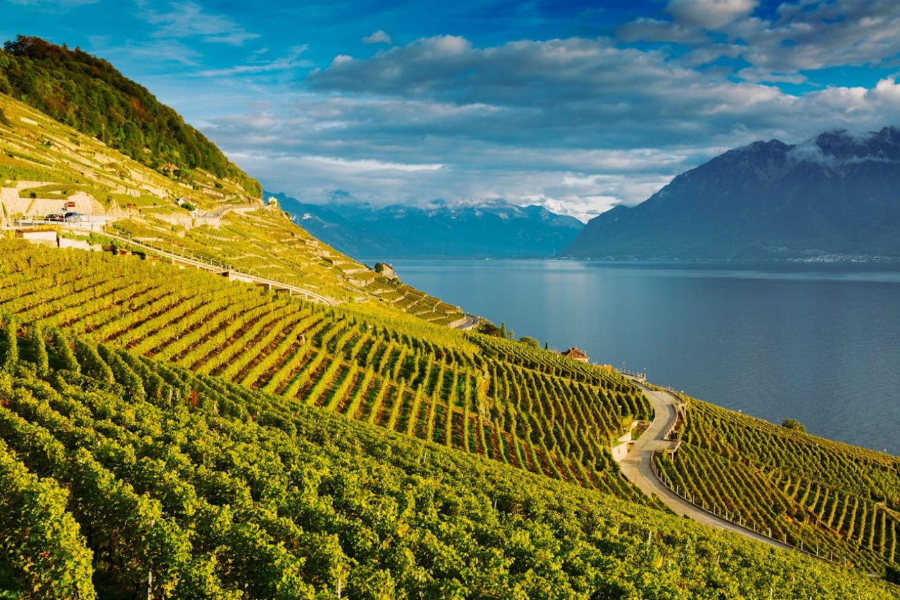 Lavaux: Weinberge über dem Genfersee – Spaziergänge und Degustationen