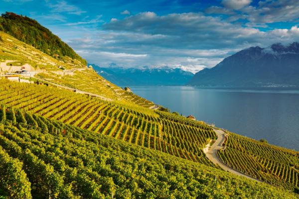 Lavaux: Weinberge über dem Genfersee – Spaziergänge und Degustationen
