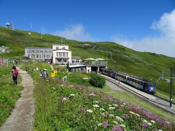 Rochers-de-Naye: Murmeltiere und Rundblick über den Genfersee bis zum Mont Blanc
