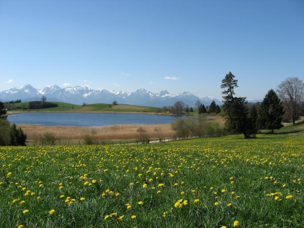 Füssen und das Ostallgäu: Königsburgen, Kuhglocken und Alpenpanorama