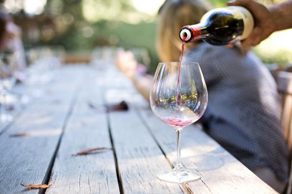 Walliser Weine: Vorstellung der Weinregionen im Schweizer Bergkanton