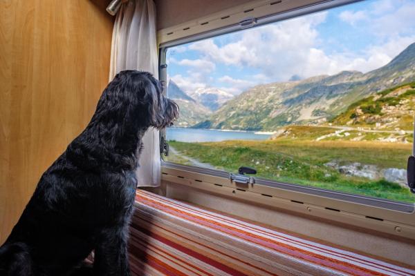 Camping und Vanlife in den italienischen Alpen: Stellplätze, Regeln und Infrastruktur