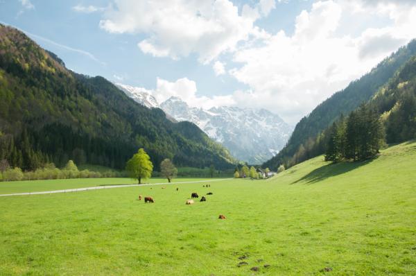 Wo Slowenien noch richtig wild ist: Das Hochtal Logarska Dolina in den Steiner Alpen