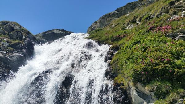 Wasserfälle & Wildbäche: Erfrischende Naturwunder der Bayerischen Alpen
