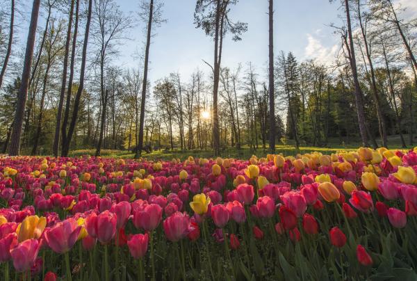 200 Jahre Gartenkunst vor den Toren Ljubljanas: Das Arboretum Volčji Potok