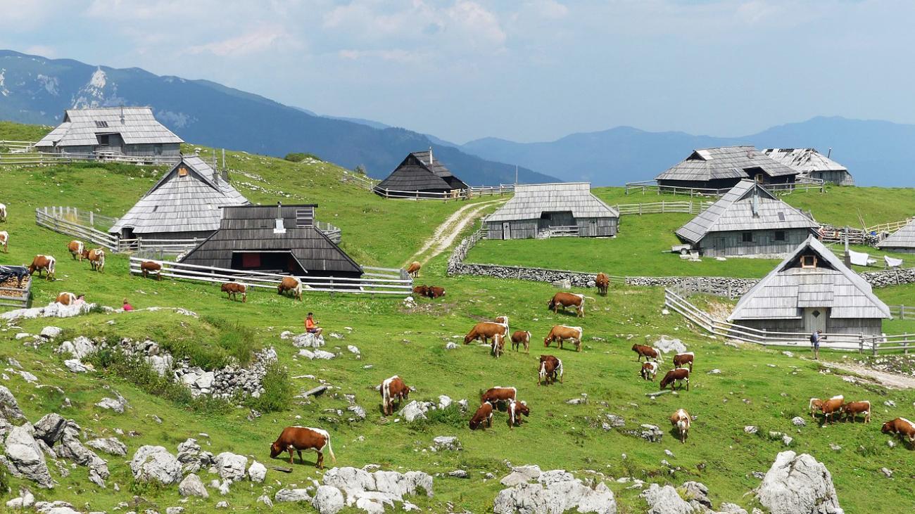 Velika Planina: Hochebene mit alten Hirtenhütten, erreich­bar per Seilbahn oder Wanderung
