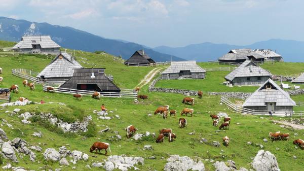Velika Planina: Hochebene mit alten Hirtenhütten, erreich­bar per Seilbahn oder Wanderung