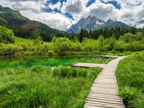 Die Zelenci-Quellen und das Sava-Tal: Naturerlebnis im Nordwesten Sloweniens