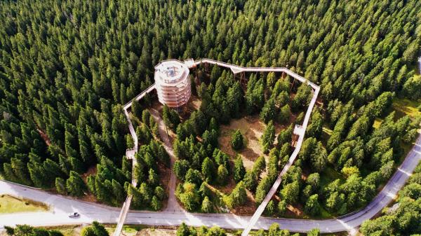 Rogla im Sommer: Eine Erlebniswelt für die ganze Familie