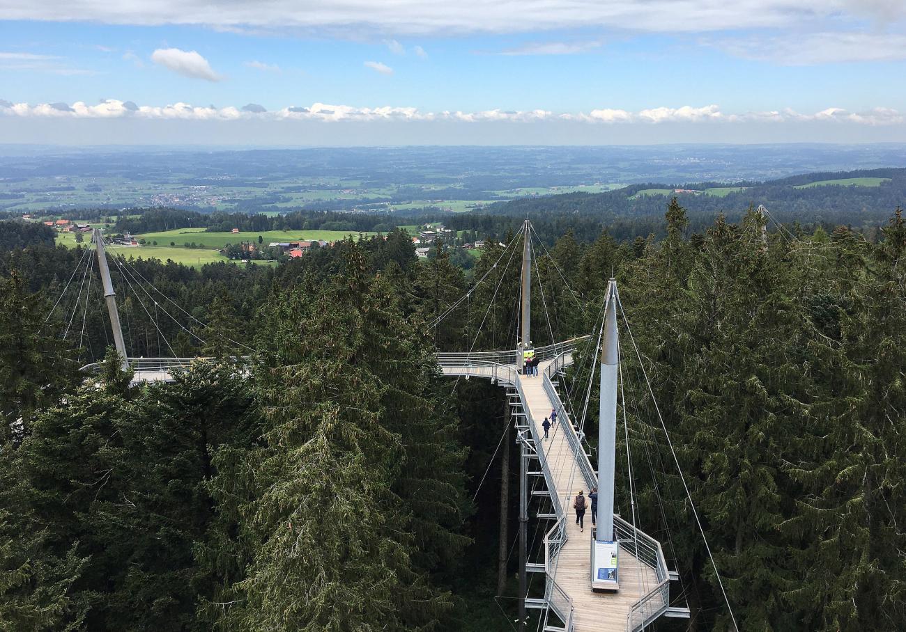 Über allen Wipfeln: Der Skywalk Allgäu und sein Panorama-Versprechen