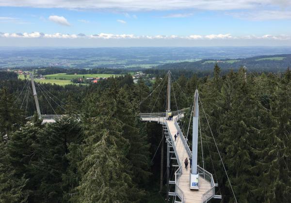 Über allen Wipfeln: Der Skywalk Allgäu und sein Panorama-Versprechen