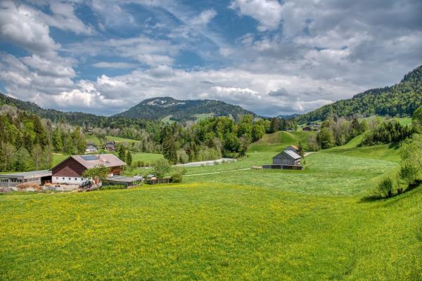 Die sanften Voralpen des Bregenzerwalds: Ein Landstrich mit Charakter