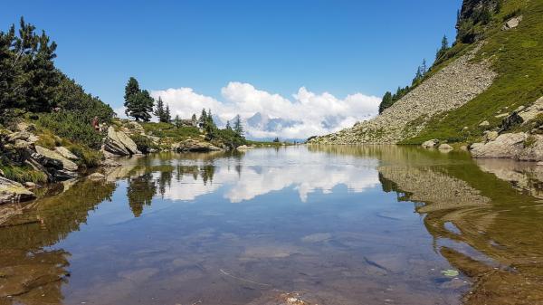 Foto-Hotspot mit Tiefgang: Wanderung zum Spiegelsee auf der Reiteralm