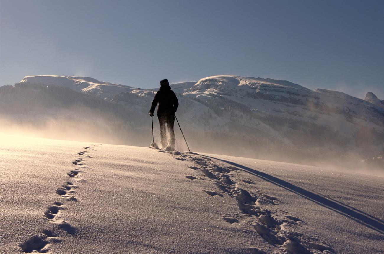 Auf Schneeschuhen durch die Stille: Winterwandern im Bregenzerwald