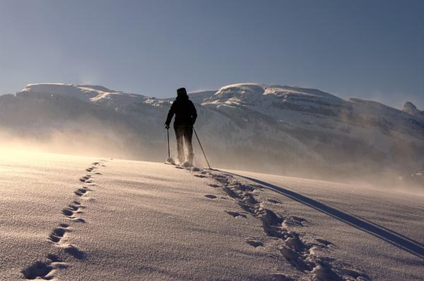 Auf Schneeschuhen durch die Stille: Winterwandern im Bregenzerwald