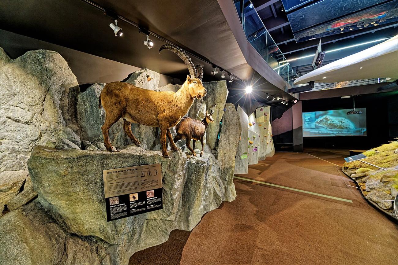 Nationalparkzentrum Hohe Tauern: Erlebe die Alpen multimedial