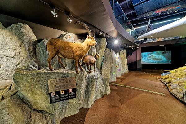 Nationalparkzentrum Hohe Tauern: Erlebe die Alpen multimedial