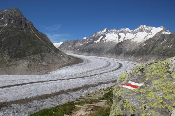 Das Naturparadies Aletsch: Der Aletschgletscher und seine Umgebung